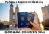 Работа в Европе по безвизу Работа в Европе по безвизу
