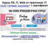 Wyniki wyszukiwania Wyniki wyszukiwania w sieci  Школа Web Дизайн Кривой Рог